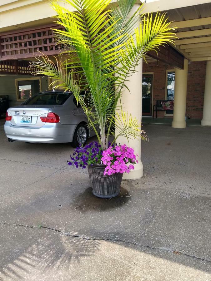 Mayfield Southern Comfort Suites المظهر الخارجي الصورة